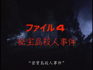 Treasure Island Murder Case