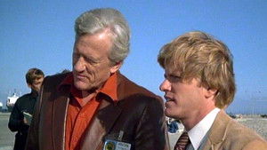 Portrait of a Playmate