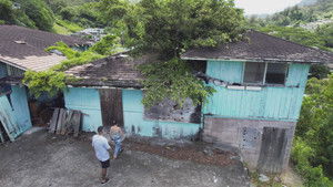A Tree Through the Roof!