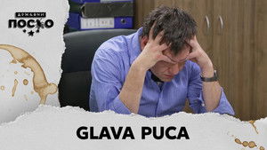 2351 Glava puca