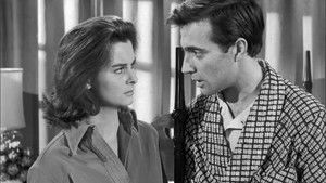 The Case of the Injured Innocent