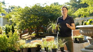 Hole Patches; Threshold Repair