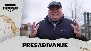 2367 Presađivanje