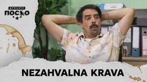 2415 Nezahvalna krava