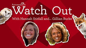 Watch Out with Hannah Stitfall and Gillian Burke