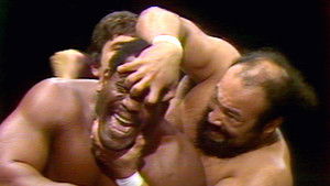 WWF Championship Wrestling - Jan 03, 1981