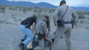 Hidden Gun in the Bushes