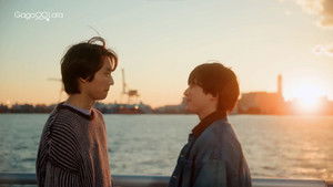 I like you so much that I can't help it