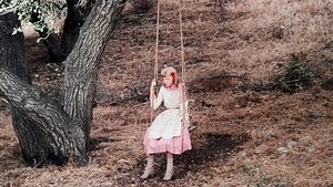 Here Come The Brides