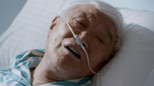 Duck Soup With Vermicelli (3)