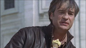 Head up / The seed of friendship