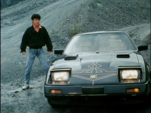 The Girl's Pray! Miraculous Ninja Strowver's 100,000 Volt Panic