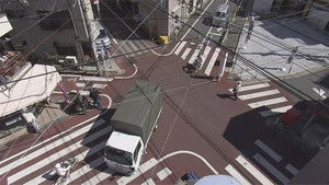 Tokyo's Crossroads of Life