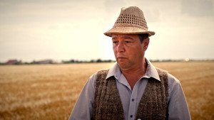 The dream of a summer day