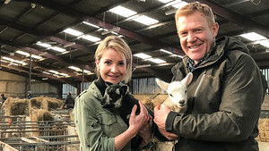 24 Hours in the Lambing Shed