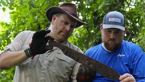 Missing Heroes of WW2