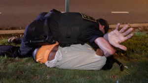 Searching for Gun Shots