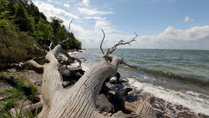 From Denmark to Latvia