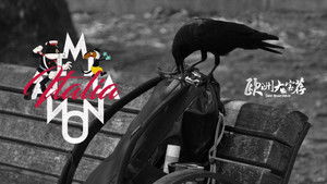 飞行20小时，我来意大利就为抓小偷