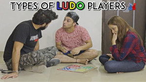 Types Of LUDO Players