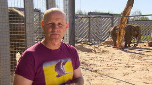 Elephants on the Move