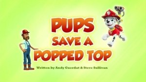 Pups Save a Popped Top