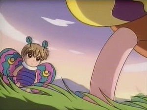 100 Haya-Moths and the Scales of Fury