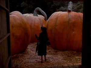 The Pumpkin Competition