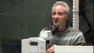 Trees Made of Glass (1)