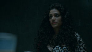 Arrivals & Departures