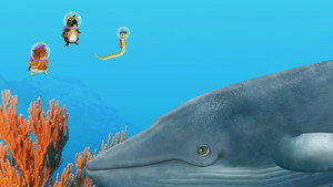 Help the Blue Whale! / Help the Baby Meerkat!