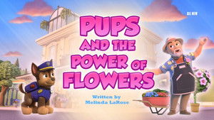 Pups and the Power of Flowers