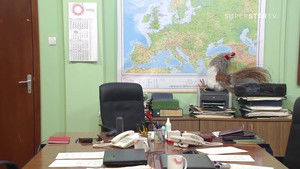 1564 Odlike muškarca