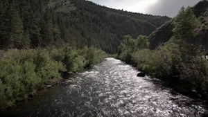 Killer Custody Battle