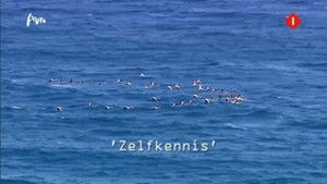 Zelfkennis (Self-knowledge)