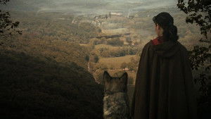 Always Leave Them Laughing