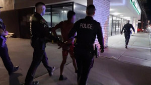 Burglary in Progress