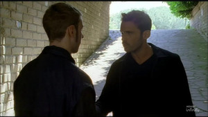 A cry for help / The flight of the dove