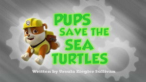 Pups Save the Sea Turtles