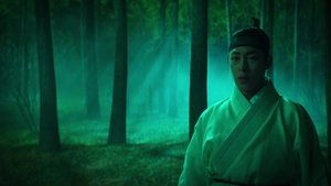 Our Reflective Scars