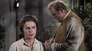 The Phillip Diedesheimer Story