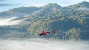 Heart Of (Darwin) Glass