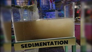 Cats, Beakmania & Dynamite