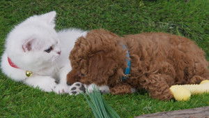 A Not So Secret Surprise