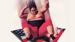 SummerSlam 1993