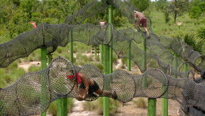 I Trust You But I Trust Me More