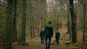 Werewolf and Demon in the Woods