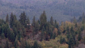 Ruby Ridge