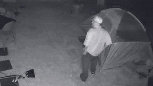 Don't Mess With My Kid