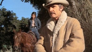 The Colorado Cattle Caper